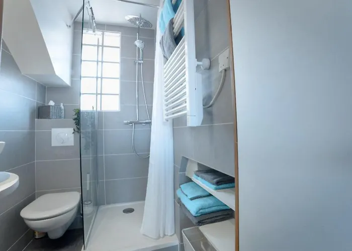 Apartament Coup De Coeur Assure Pour Ce T2 Renove Hyper Centre *